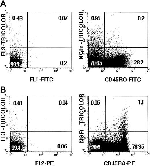Fig. 8. Ex vivo detection of circulating CD45RA+/ΔLNGFR+ T cells long term after infusion of genetically modified donor cells. / Cytofluorometric analysis of PBLs derived from patient UPN-87 28 months after the last infusion of genetically modified donor lymphocytes. Cells were tested for the coexpression of CD45RA+-FITC /ΔLNGFR+-TC (A, right panel) and CD45RO+-PE/ΔLNGFR+-TC (B, right panel). Appropriate isotypic controls are shown in the left panels.