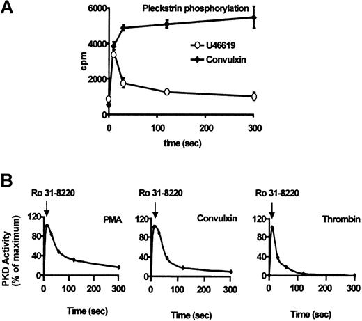 Fig. 3. U46619 induces transient activation of PKC. / Platelets were labeled with 32P-orthophosphate for 1 hour prior to stimulation with 12 nM convulxin (as a control) and 3 μM U41669. (A) At various time intervals samples were removed to determine the degree of pleckstrin phosphorylation, as described in “Materials and methods.” Results are shown as the mean ± SEM of 3 independent experiments. (B) Washed platelets were stimulated with PMA (30 nM), convulxin (12 nM), or thrombin (0.1 U/mL) for 10 seconds in the presence of indomethacin and apyrase. A sample was removed and platelets were then treated with Ro 31-8220 (1 μM), with further samples being removed for up to 5 minutes (as indicated). After lysis, platelet whole cell lysates were analyzed by Western blotting (not shown) using the pS916 antiserum, and results were analyzed using densitometry to observe active PKD. Results are expressed as the mean ± SEM of 3 separate experiments.