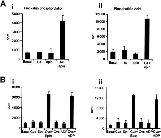 Fig. 7. Synergistic activation of pleckstrin phosphorylation and phosphatidic acid production. / Platelets were labeled with 32P-orthophosphate for 1 hour prior to stimulation with submaximal concentrations of 0.1 μM U46619, 10 μM epinephrine (Epin), or both together (panel A) or 2 nM convulxin (Cvx), 10 μM epinephrine (Epin), or both together (panel B). Samples were harvested after 1 minute to determine the degree of pleckstrin phosphorylation (i) or phosphatidic acid production (ii), as described in “Materials and methods.” Results are the mean ± SEM of 3 independent experiments.