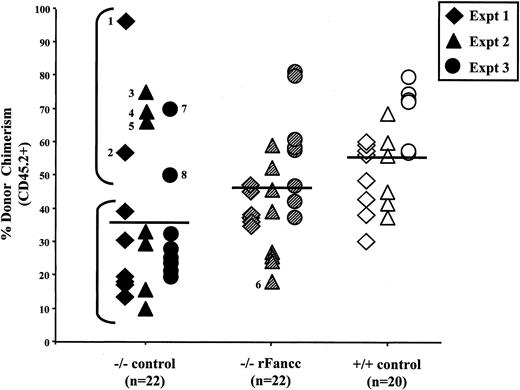 Fig. 3. Donor chimerism of individual mice transplanted with transduced test cells. / Peripheral blood donor chimerism was determined by fluorescence cytometry 6 months following transplantation. Individual data points represent donor chimerism of single mice transplanted with eitherFancc−/− cells transduced with a reporter gene only (−/− control), Fancc−/− cells transduced with a retrovirus encoding rFancc (−/− rFancc), or WT cells transduced with a reporter only (+/+ control). All data from these 3 transduction groups in experiments 1-3 are shown. Mean donor chimerism of mice transplanted with −/− control cells was significantly lower than +/+ control (*P < .002). Transduction of Fancc−/− cells with rFancc (−/− rFancc) resulted in a significant increase in repopulating ability compared to −/− control test cells (**P ≤ .04). The lower bracket outlines expected chimerism of mice transplanted with −/− control cells, and the upper bracket outlines mice (mice 1-5, 7, and 8) with a marked increase in donor chimerism. Mouse 6 in the −/− rFancc transduction group exhibited low chimerism at this timepoint but had a marked increase in chimerism 16 months after transplant. A Fisher exact test confirmed that the incidence of aberrant chimerism in the −/− control (7 of 22) transduction group was significantly greater than in the −/− rFancc (1 of 22) transduction group (P < .05).