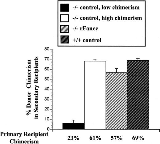 Fig. 7. Donor chimerism of secondary recipients transplanted with BM cells from one of the 4 primary recipient experimental groups. / Mean chimerism of primary recipients used as donor cells for secondary transplants are shown below each bar. Secondary recipient donor chimerism was measured 8 months after transplantation. Error bars represent SEM.