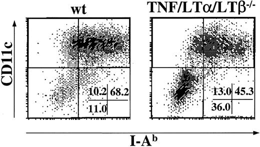 Fig. 2. The generation of DCs from BM cells is impaired in TNF/LTα/LTβ−/− mice. / BM cells (1 × 106 cells/mL) taken from either wt or TNF/LTα/LTβ−/− mice were cultured with GM-CSF and IL-4 for 9 days as described in “Materials and methods.” Cells were collected on day 9 and stained with FITC-conjugated anti–I-Ab mAb and PE-conjugated anti-CD11c mAb. The percent of events in each quadrant of dot plots is indicated. Dots were plotted based on staining with isotype-matched negative control mAb. Data from 1 of 5 representative experiments are shown.