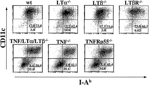 Fig. 5. DC generation from BM progenitor cells is impaired in TNF−/− and TNFRp55−/− mice but not in LTα−/−, LTβ−/−, or LTβR−/− mice. / BM cells (1 × 106 cells/mL) from several strains of KO mice were cultured with GM-CSF and IL-4 for 9 days. Cells were collected on day 9 and stained with FITC-conjugated anti–I-Ab mAb and PE-conjugated anti-CD11c mAb. The percent of events in each quadrant of dot plots is indicated. Data from 1 of 5 representative experiments are shown.