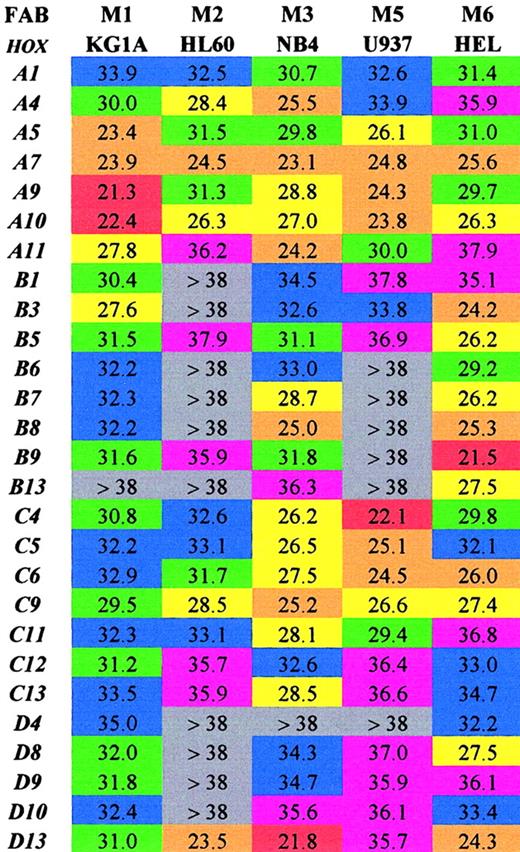 Fig. 1. Array of comparative analysis of the CTvalues obtained for 27 HOX genes from 5 well-characterized leukemic cell lines. / Values shown are the mean of 3 experiments corrected for18S. Lower CT values indicate higher expression for the particular gene. Red indicates extremely high (20-23); orange, very high (23-26); yellow, high (26-29); green, moderate (29-32); blue, low (32-35); purple, very low (35-38); and gray, extremely low/not expressed (> 38).