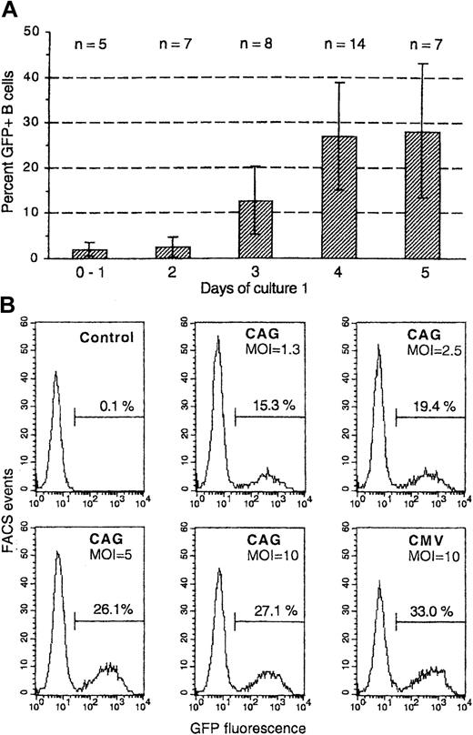 Fig. 1. Transduction with HIV vectors of peripheral blood B cells activated by T cells and cytokines. / (A) Purified B cells were cultured with irradiated EL-4 T cells in the presence of IL-1β, TNF-α, IL-2, and IL-10 (see “Materials and methods”). At different times of this primary culture, the B cells were isolated and cultured in fresh medium/cytokines with HIV vectors expressing GFP under the control of the CMV, CAG, or EF1-α promoters (MOI, 10). After 15 hours, fresh irradiated EL-4 cells were again added (secondary culture). Shown are percentages of GFP+ cells among gated CD19+ 7-AADlow (nonapoptotic) cells detected after 4 days of secondary culture. Data are from 14 independent experiments in which transductions on 3 or more different days were compared; numbers of data for different days are indicated (n). The columns show means, and the bars indicate ± 1 SD. (B) Transduction was vector-dose dependent. B cells activated for 4 days in primary culture were transduced and then cultured and analyzed as above by using HIV-GFP vectors with the compound CAG or the CMV promoter in the same experiment; MOI is indicated in the figures. Shown are FACS histograms for GFP+ cells by gating on CD19+7-AADlow cells.