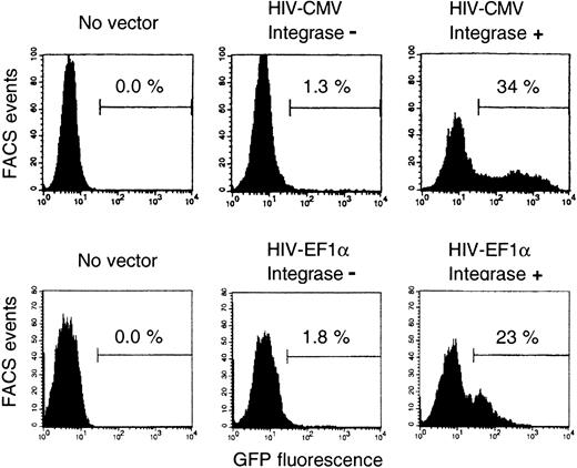 Fig. 4. Comparison of vectors with or without integrase. / B cells were transduced with HIV-CMV vectors or HIV-EF1α vectors, and the vectors were packaged either with integrase mutant (integrase −) or wild-type (integrase +) plasmids. Vector amounts were normalized using reverse transcriptase activities, and they corresponded to an MOI of 10. Two independent experiments; same protocol for culture and cell analysis as in Figure 1; transductions on day 4 (HIV-CMV) or day 5 (HIV–EF1-α). Percentages of GFP+ cells among gated CD19+7-AADlow cells are indicated.