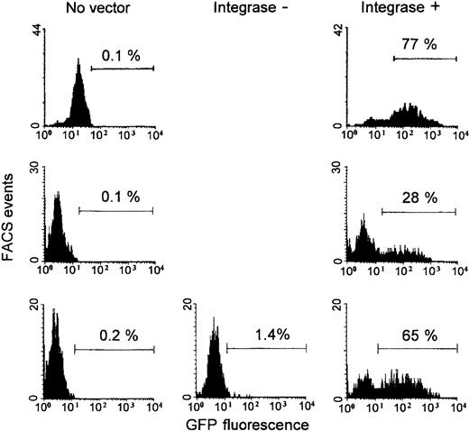 Fig. 6. Transduction of freshly isolated myeloma B cells. / Myeloma cells from 3 of the 6 patients (see “Results”) are shown. Cells were isolated and cultured with IL-6 and GM-CSF. HIV-CMV vector packaged with integrase wild-type (integrase +) or mutant (integrase −; one myeloma) plasmid was added 24 hours after culture initiation. Vector amounts were normalized using reverse transcriptase activities and corresponded to an MOI of 10. Percentages of GFP+ cells among gated CD138+7-AADlow cells were measured after 5 days (the myeloma shown at the top, single culture) or 4 days (the 2 other myeloma; duplicate cultures with integrase + vector gave 28%; 25% and 65%; 61% GFP+ cells).