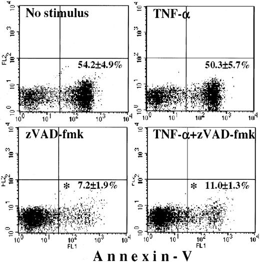 Fig. 7. Death of cytoplasts. / Cytoplasts cultured overnight without additions or with 20 ng/mL TNF-α, with 150 μM zVAD-fmk, or with the combination of these agents were stained with annexin-V–FITC and were analyzed by FACScan. Cytoplasts with annexin-V staining were counted as dead cytoplasts (bottom right quadrant of each plot). *P < .05 versus No stimulus and TNF-α. Values represent means ± SEM of 5 separate experiments performed in duplicate.