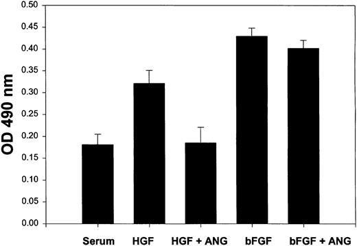 Fig. 9. Angiostatin selectively inhibits HGF-induced proliferation of HUVECs. / HUVECs (5000 cells/well) were cultured in 96-well plates in serum in the presence or absence of HGF (10 ng/mL) or bFGF (10 ng/mL). Angiostatin was added to some wells at 3 μM. After 72 hours of culture, a metabolic cell proliferation assay was performed with monitoring of formazan production at 490 nm. Each assay was performed in replicates of 6. Angiostatin significantly (P < .01) inhibited HGF-induced proliferation, but did not inhibit bFGF-induced proliferation. Angiostatin also failed to significantly reduce VEGF-induced proliferation (data not shown). Error bars indicate ± 1 SD.