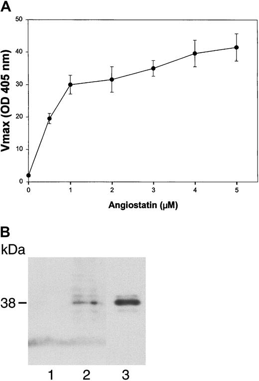 Fig. 10. Angiostatin binds to soluble c-met. / (A) Media containing the soluble, truncated c-met receptor derived from A431 cells were adsorbed to an EIA/RIA plate. Angiostatin was added in concentrations of 0 to 5 μM and bound angiostatin was detected with a polyclonal antibody to plasminogen followed by an alkaline phosphatase–conjugated anti–rabbit IgG (solid line). Antibody detection was quantified using p-nitrophenylphosphate and measuring the Vmax at OD405. At each concentration of angiostatin, Voller buffer was used to show nonspecific binding of angiostatin to the plate, which was subtracted from total binding to obtain specific binding (displayed in this graph). Replicates of n = 3 were performed. The error bars represent ± 1 SD. (B) Coimmunoprecipitation. A431 medium containing soluble c-met was incubated with angiostatin, then immunoprecipitated with nonimmune mouse IgG (lane 1) or with anti–c-met extracellular domain (lane 2). Immunoblotting was performed with antiplasminogen. Lane 3: angiostatin (positive control). Angiostatin was immunoprecipitated by anti–c-met, demonstrating a soluble c-met/angiostatin complex.