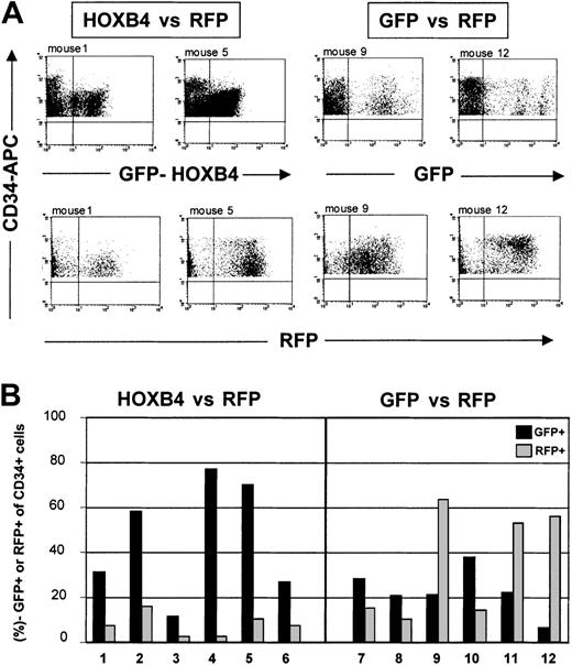 Fig. 5. Growth advantage in human CD34+ cells overexpressing HOXB4. / Human CD34+ cells overexpressing HOXB4 have a marked competitive growth advantage in NOD/SCID mice receiving transplants. (A) FACS analysis of human CD34+ cells expressing either GFP (top) or RFP (bottom) in marrow samples from mice that had received transplants with equal initial cell inoculums containing either HOXB4 (FMEV-HAHOXB4wPRE)– and RFP-transduced cells in a 1:2 ratio (HOXB4 versus RFP), or GFP- and RFP-transduced cells in a 1:1 ratio (GFP versus RFP). (B) In all mice receiving competitive transplants of HOXB4 versus RFP, HOXB4+(GFP+)CD34+ cells clearly dominated over RFP+CD34+ cells 8 weeks after transplantation. In contrast, in 3 of 6 mice of the GFP versus the RFP control group, RFP+CD34+cells predominated over GFP+CD34+ cells, whereas in the other 3 mice we observed the reverse.