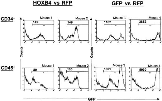 Fig. 7. Differences in the levels of HOXB4 expression between primitive CD34+ and differentiated human cells. / Histograms displaying GFP marker expression in human CD34+and CD45+ cells from 2 of 7 representative HOXB4 versus RFP mice (mice 1 and 2) and from 2 of 6 GFP versus RFP mice (mice 3 and 4) are shown. BM cells were stained with human-specific mAbs against the panleukocyte marker CD45 or the primitive cell marker CD34. Propidium iodide uptake was used for gating viable cells in the first step. Cells positive for human CD34 and CD45 were then gated and analyzed for GFP expression. The mean fluorescence intensity (MFI) values for each GFP+ population are indicated in the histograms. In the HOXB4 versus RFP group of mice, differences between primitive CD34+ and either CD45+ or CD19+cells (not shown) in the MFI of GFP were significant (P < .001 and P < .01, respectively).