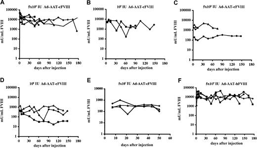 Fig. 2. Functional FVIII expression kinetics in adult hemophilic FVIIIKO-SCID mice following HC-Ad gene transfer. / Mice were injected intravenously with Ad-AAT-cFVIII at a dose of 5 × 109 (A), 109 (B), 5 × 108 (C), 108 IU (D), and 5 × 107 IU (E) or with Ad-AAT-hFVIII at a dose of 5 × 109 IU (F). FVIII-deficient littermates were injected with PBS as control.