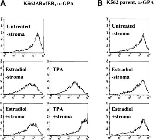 Fig. 3. Enforced, selective activation of the ERK/MAPK pathway overrides stromal inhibition of megakaryocytic differentiation (indicated by glycophorin A down-regulation). / As in Figure 2, the cells analyzed consisted of either K562 parent cells (B) or K5ΔRafER.5 cells (A) engineered to express the estrogen-responsive Raf-1 kinase mutant ΔRafER. Cells were treated for 48 hours as indicated with either 25 nM TPA or 1 μM estradiol in the presence or absence of HESS-5 stromal cell monolayers. Cells treated as indicated were stained with PE–anti-GPA (GA-R 2-PE) or isotype-matched control antibodies and analyzed by single-color flow cytometry. Log fluorescence intensity is indicated on the x-axis.