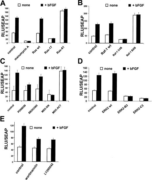 Fig. 2. Ras, Raf-1, MEK, ERK-2, and PI-3K regulate. / CD13/APN induction. KS1767 cells were incubated in 1% serum 24 hours before transient transfection with 1 μg reporter plasmids containing the CD13/APN promoter and 2 μg of the indicated expression plasmids (for details, see “Materials and methods”), followed by stimulation with bFGF and/or addition of chemical inhibitors of specific pathway intermediates at concentrations detailed in “Materials and methods.” The MAP1-SEAP plasmid (1 μg) was cotransfected in each condition to normalize for transfection efficiency. Results are shown as fold activation at 48 hours after transfection over the activity of the promoterless vector plasmid transfected in parallel. (A) Manumycin A, Ras inhibitor; Ras-17, dominant-negative expression plasmid; and Ras-61, constitutively active Ras expression plasmid. (B) Raf-1–wt, wild-type Raf expression plasmid; Raf-1–C4B, dominant-negative Raf expression plasmid; and Raf-1–BXB, constitutively activated Raf-1 expression plasmid. (C) PD98059, MEK inhibitor; SB203580, p38 kinase inhibitor; MEK-DN, dominant-negative expression plasmid; and MEK-ACT, constitutively active MEK expression plasmid. (D) ERK2-B3, ERK2-C3–dominant-negative ERK2 expression plasmids. (E) Wortmannin and LY290042, PI-3K inhibitors. Error bars indicate standard deviations of at least 3 replicates.