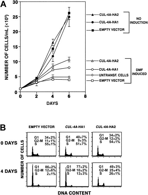 Fig. 5. Enforced expression of. / CUL-4A promotes proliferation and reduces exit from the cell cycle after induction of granulocytic differentiation.(A) The cell lines overexpressing CUL-4A and control cell lines were grown in the presence or absence of 0.5% DMF for 0 to 6 days, and the numbers of viable cells were counted. The averages of 5 independent experiments are shown for the DMF-induced cells (open symbols) and the averages of 3 independent experiments are shown for uninduced cells (solid symbols). Symbols are as follows: untransfected PLB-985 cells, diamond; empty vector control, square;CUL-4A-HA1, circle; CUL-4A-HA2, triangle. Error bars denote SEM. Only a small difference in the proliferation of untransfected and empty vector control cells was observed. (B) The cell lines overexpressing CUL-4A and control cells were induced to differentiate with DMF for 4 days. Before DMF was added and after 4 days of induction, cells were removed, DNA content was determined by propidium iodide staining and flow cytometry, and the relative number of cells in each phase of the cell cycle was determined. Error bars represent SEM. Results representative of 3 independent experiments are shown.