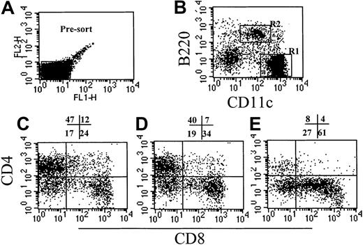 Fig. 2. Effect of cytokine pretreatment on splenic DC phenotype. / Naive B6 mice were treated with control diluent, G-CSF, or ProGP-1 as described in “Materials and methods.” DCs were enriched as described, presorted to remove autofluorescent macrophages (A), and stained with CD11c and B220 (B). The CD11chi DCs (R1) from control spleen (C), G-CSF spleen (D), and ProGP-1 spleen (E) were further analyzed for CD4 and CD8 expression.