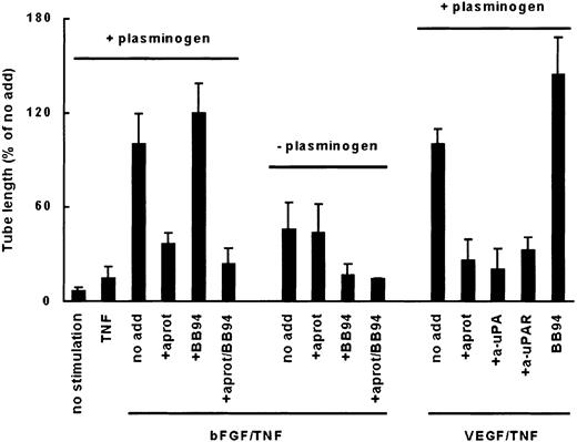 Fig. 2. Formation of capillarylike tubular structures in a purified fibrin matrix depends on plasmin activity and not MMP activity. / hMVECs were cultured on top of a 3-dimensional matrix containing M199 supplemented with 10% human serum (HS) and 10% NBCS and stimulated with 10 ng/mL bFGF and 10 ng/mL TNF-α (bFGF/TNF-α) or 50 ng/mL VEGF165 and 10 ng/mL TNF-α (VEGF/TNF-α) in the presence (+ plasminogen) or absence of plasminogen (− plasminogen) with or without (no add) the addition of a blocking polyclonal antibody against u-PA (100 μg/mL), a blocking monoclonal antibody against u-PAR (10 μg/mL), aprotinin (aprot; 100 U/mL), or BB94 (10 μg/mL). After 4 days of culturing, total tube length was measured as described and expressed as percentage of tube length formed by bFGF/TNF-α-stimulated hMVECs or VEGF165/TNF-α-stimulated hMVECs. The data are expressed as mean ± SD of 4 to 17 experiments.