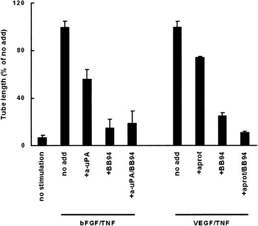 Fig. 3. Formation of capillarylike tubular structures in a fibrin-collagen matrix depends on plasmin and MMP activity. / hMVECs were cultured on top of a 3-dimensional matrix fibrin matrix containing 10% collagen in M199 supplemented with 10% HS and 10% NBCS and stimulated with 50 ng/mL VEGF165 and 10 ng/mL TNF-α (VEGF/ TNF-α) with or without (no add) the addition of an aprotinin (aprot; 100 U/mL) or BB94 (10 μg/mL). After 4 days of culturing, total tube length was measured as described and expressed as percentage of tube length formed by hMVECs stimulated with VEGF165/TNF-α. The data are expressed as mean ± SD of 3 experiments with duplicate wells.
