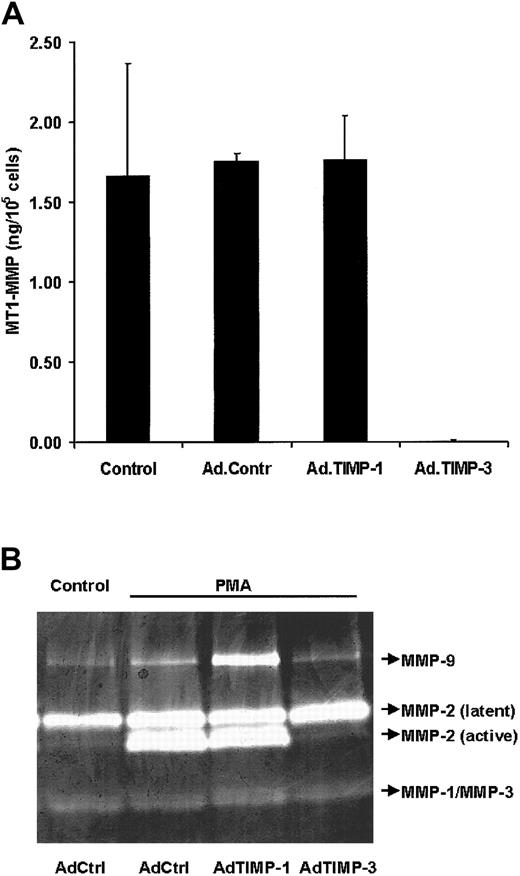 Fig. 5. MT1-MMP activity is inhibited by TIMP-3. / (A) Direct assay of MT1-MMP activity. Confluent hMVECs were incubated with 108 pfu/mL adenovirus in M199/0.1% human serum albumin, ie, AdPC10 (Ad.Contr), Ad.TIMP-1, or Ad.TIMP-3. MT1-MMP activity was assayed in cell extracts as described in “Materials and methods.” The data represent the mean ± range of 2 independent cultures. (B) Inhibition of MMP-2 activation by TIMP-3. Confluent HUVECs were incubated with 108 pfu/mL AdPC10 (AdCtrl), AdTIMP-1, or AdTIMP-3. After 2 hours the media were removed and cells were incubated overnight with culture medium. Thereafter, cells were washed with M199 containing 0.03% human serum albumin to remove serum components and incubated with this media containing no stimulus or 10 ng/mL PMA. After 48 hours the conditioned media were collected and gelatin zymography was performed as described. The same results were observed in 4 different experiments.