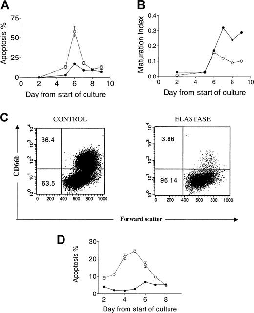 Fig. 2. Apoptosis and maturation arrest induced by elastase. / CD34+ cells (5 × 105/mL) were cultured in the presence of 25 ng/mL G-CSF, GM-CSF, and SCF with or without 1 μg/mL elastase. (A) Percentage apoptotic cells determined by morphologic analysis. (B) Maturation index. (C) CD66b+cells day 9. (D) Percentage apoptotic cells determined by annexin V analysis. Data are presented as mean ± SEM of 2 independent experiments. ● indicates control; and ○, elastase.