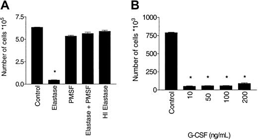 Fig. 5. Antagonism of G-CSF stimulation requires enzymatically active elastase. / CD34+ cells (105/mL) were cultured in the presence of 10 ng/mL G-CSF, with or without 1 μg/mL elastase. After 10 days of culture, nucleated cells were counted. (A) Abrogation of the blocking effect of elastase by PMSF or heat inactivation. Data are representative of 3 independent experiments. (B) Increased dose of G-CSF does not override inhibition by elastase (mean ± SEM of triplicates) (*P < .001).