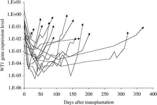 Fig. 4. Time course of WT1 gene expression level in patients with relapse. / The time courses of WT1 gene expression in 16 of 18 patients who had HR within 400 days after transplantation are shown. Arrows indicate WT1 levels at the time of relapse. WT1levels began to increase exponentially with a constant doubling time that was different in each patient.