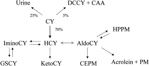 Fig. 1. Quantitative disposition of cyclophosphamide (CY) indicating fraction of dose eliminated by pathway. / Chloroacetaldehyde (CAA), acrolein, and phosphoramide mustard (PM) are cytotoxins, but acrolein and PM are the major toxins because of the abundance of their formation. HCY (4-hydroxy-cyclophosphamide) is formed primarily in the liver but circulates in blood, entering cells as its tautomer aldocyclophosphamide (AldoCY). Acrolein and PM are formed from AldoCY when it decomposes through β-elimination. Other metabolites include o-carboxyethyl-phosphoramide mustard (CEPM), deschloroethyl-cyclophosphamide (DCCY), 4-keto-cyclophosphamide (KetoCY), hydroxypropyl-phosphoramide mustard (HPPM), imino-cyclophosphamide (IminoCy), and glutathionyl-cyclophosphamide (GSCY).