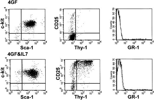 Fig. 2. Growth and developmental potential of hematopoietic precursors after culture with I-Deltaext-IgG. / Antigen expression was determined after cells were cultured for 28 days with I-Delta1ext-IgG and 4GF (upper panel) and with I-Delta1ext-IgG, 4GF, and IL-7 (lower panel). Fewer than 0.5% of cells stained with either or both isotype control antibodies.