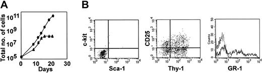 Fig. 4. Developmental potential of cells after culture with Notch ligand and cytokines. / Number of cells (A) and antigen expression (B) were determined after Lin−Sca-1+c-kit+ cells incubated for 28 days with 4GF and I-Delta1ext-IgG were transferred to new cultures containing 4GF, I-Delta1ext-IgG plus IL7 (●) or 4GF, I-Delta1ext-IgG plus GM-CSF (▴). Antigen expression was determined 7 days after transferring to cultures with additional growth factors. Those with GM-CSF are shown. In dot plots, x-axis is log fluorescence intensity after staining with antibodies to Sca-1 or Thy-1; y-axis, log fluorescence intensity after staining with antibodies to c-kit or CD25. Fewer than 0.5% of cells stained with either or both isotype control antibodies. In histograms, x-axis is log fluorescence intensity after staining with GR-1; y-axis, cell number; solid line, staining with GR-1; dotted line, staining with isotype-matched control antibody.