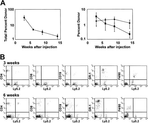 Fig. 5. Short-term reconstitution in competitive repopulation assays. / Competitive repopulation of lethally irradiated C57Bl/6.SJL-Ly5.1-Pep3b mice injected intravenously with 5-10 × 106 Ly5.2 cells cultured for 28 days with I-Delta1ext-IgG, 4GF, and IL7 along with 1 × 105 Ly5.1 competing bone marrow cells. (A) Mean percentage (± SEM) from 3 experiments of blood cells expressing Ly5.2 (left panel) and mean percentage (± SEM) of blood cells expressing both Ly5.2 and CD4 plus CD8 (♦) or both Ly5.2 and CD19 (▪) (right panel). (B) Peripheral blood reconstitution from one representative mouse 3 and 6 weeks after injection. The x-axis is log fluorescence intensity after staining with antibody to Ly5.2; y-axis, log fluorescence intensity after staining with lineage-specific antibody.