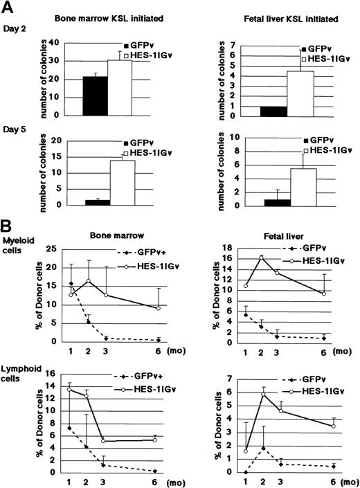 Fig. 2. Relative preservation of KSL phenotype by constitutive expression of HES-1. / (A) Colony-forming ability of transduced cells was examined soon after sorting GFP+ cells and after an additional 3-day culture. HPP-mix; colonies larger than 1.5 mm in diameter and consisting of at least granulocyte/macrophage and erythroid clusters. The number of HPP-mix–derived colonies in 1000 cells (culture day 2; sort day 0) or 2000 cells (culture day 5; sort day 3) is shown. Data show the mean ± SD of triplicates from 2 independent experiments. (B) Long-term repopulation ability of selected transduced cells was assessed by transplantation to sublethally irradiated recipients. Donor (GFP+Ly5.1+)–derived cells were detected in peripheral blood of recipient mice (Ly5.2). The percentage of donor-derived cells within myeloid (Mac-1+ and Gr-1+) and lymphoid (Thy1.2+ and B220+) cells was measured at various time points after transplantation. Results for HES-1IGv and GFPv are shown as the mean ± SD of 12 and 9 measurements, respectively, from 3 independent experiments (2-6 animals per experiment).
