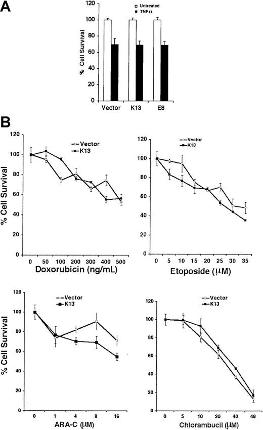 Fig. 2. vFLIP K13 fails to protect against TNFα- and anticancer drug–induced apoptosis. / (A) TF-1 cells expressing an empty vector or vFLIP K13 were treated with TNFα (10 ng/mL) for 48 hours and cell viability examined using the MTS assay. The values shown are means ± SD of 2 independent experiments performed in triplicate. (B) TF-1 cells expressing an empty vector or vFLIP K13 were treated with the indicated doses of drugs for 48 hours and cell viability examined using the MTS assay. The values shown are means ± SD of 2 independent experiments performed in triplicate.