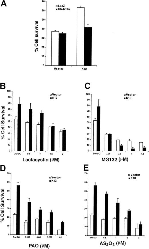 Fig. 5. Inhibitors of the NF-κB pathway reverse the protective effect of vFLIP K13 against growth factor withdrawal–induced apoptosis. / (A) TF-1 vector and vFLIP K13 cells were infected with adenoviral vectors expressing β-galactosidase (control) or a superrepressor form of IκBα(DN-IκBα) at a multiplicity of infection of 1000. Approximately 48 hours after infection, cells were grown in the absence or presence of GM-CSF for another 48 hours and cell viability measured using the MTS assay. The values shown are means ± SD of 2 independent experiments performed in triplicate. (B-E) TF-1 vector and vFLIP K13 cells were grown without GM-CSF and in the presence of indicated doses of drugs for 48 hours. Cell viability was measured using the MTS assay and percent cell survival calculated using the viability of cells grown in the presence of GM-CSF as 100%. The values shown are means ± SD of a representative of 2 independent experiments performed in triplicate.