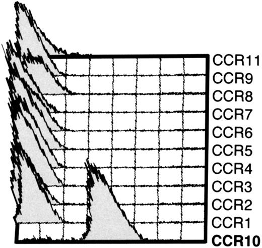 Fig. 1. mAb 1B5 recognizes CCR10-expressing L1/2 cell transfectants but not other CC chemokine receptor transfectants. / Cytometry histograms showing the indicated L1/2 CC chemokine receptor transfectants (CCR1-CCR11/GusB) stained with anti-CCR10 mAb 1B5. Each cell line was stained with a mAb to its corresponding receptor to ensure high expression (not shown). Except for CCR10 cells, 1B5 staining was indistinguishable from the isotype-matched control (IgG2a) for all other transfectants (not shown). 1B5 also recognized CCR10 expressed by CHO cells (not shown).