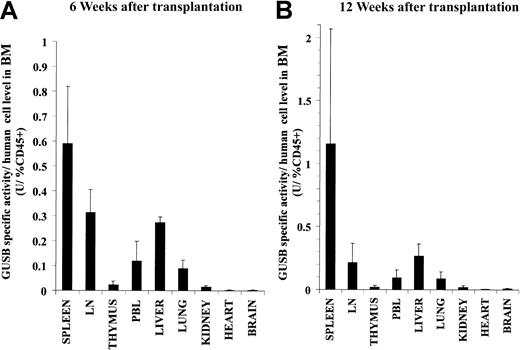 Fig. 4. A biochemical assay for GUSB activity revealed a similar widespread distribution of enzyme in the tissues of NOD/SCID/MPSVII mice at both 6 and 12 weeks following transplantation of human CD34+ cells. / The tissues of NOD/SCID/MPSVII mice that received transplants of human C34+ cells derived from cord blood were analyzed 6 (A) or 12 (B) weeks later with the GUSB-specific biochemical assay. The GUSB-specific activities (U = nmol substrate cleaved/hour/mg protein) for the tissues of each mouse were divided by the percentage of human CD45+ cells in the bone marrow of the respective mouse. The adjusted values from 4 mice at each time point were averaged and are shown with the standard error. Data are presented for the spleen, mesenteric lymph nodes (LN), thymus, peripheral blood leukocytes (PBL), liver, lung, kidney, heart, and brain. The bone marrow of these mice had an average of 6.5 ± 2.3 U/percentage of CD45+ and 7.3 ± 2.9 U/percentage of CD45+ at 6 and 12 weeks following transplantation, respectively.