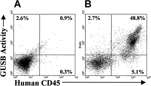 Fig. 5. GUSB activity correlated with human CD45 expression in a flow cytometric assay on the bone marrow of NOD/SCID/MPSVII mice that received transplants of human CD34+ cells. / (A) Bone marrow from a NOD/SCID/MPSVII mouse that did not receive a transplant when incubated with a fluorescent substrate for GUSB followed by staining with an antihuman CD45 antibody showed slight background on the GUSB channel (2.6%). Minimal staining on the human CD45 channel was found (0.3%). (B) In similarly assayed bone marrow from a NOD/SCID/MPSVII mouse 12 weeks after the transplantation of cord blood CD34+ cells, only the population positive for human CD45 had significant GUSB activity. Cells negative for human CD45 displayed a level of GUSB activity (2.7%) comparable to that of the control NOD/SCID/MPSVII bone marrow (A).