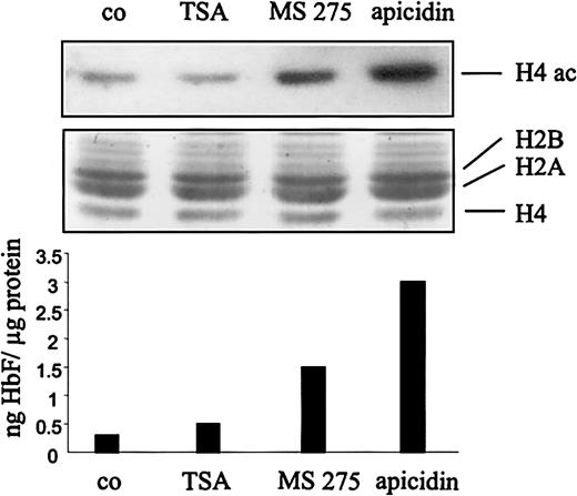 Fig. 4. Induction of histone hyperacetylation correlates with stimulation of HbF synthesis. / K562 cells were treated with the HDAC inhibitors TSA, MS-275, apicidin, or DMSO (co) for 1 hour, respectively. Histone proteins were prepared by acid extraction, and acetylation of histone H4 was determined by Western blot analysis by using a specific antiacetyl H4 histone antibody (top panel). Coomassie staining of the corresponding gel shows equal loading (20 μg) of histone proteins (H2A, H2B, H4) on each lane (middle panel). Bottom panel shows stimulation of HbF synthesis by the respective HDAC inhibitor after 4 days of treatment. H4 ac indicates acetylated histone H4; H2A, H2B, H4; histone proteins H2A, H2B, H4.
