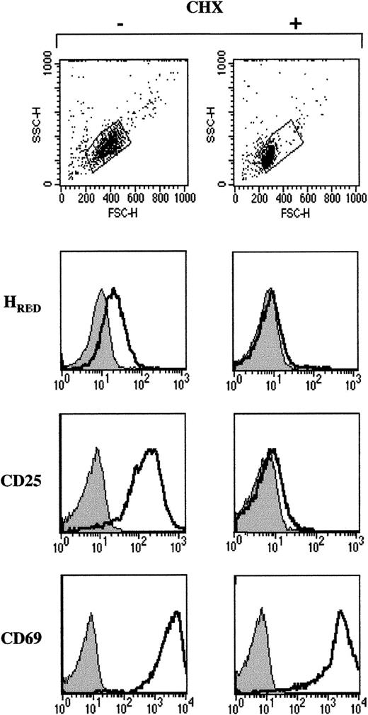 Fig. 4. Expression of the HTLV receptor on TCR-stimulated lymphocytes requires de novo protein synthesis. / Freshly isolated CD4+ lymphocytes were activated with immobilized αCD3 and αCD28 mAbs in the absence or presence of the protein synthesis inhibitor cycloheximide (CHX; 5 μg/mL) for 24 hours. The size and density of viable cells were monitored by forward angle light scatter (FSC) and side angle scatter (SSC) on a flow cytometer. HTLV receptor expression as well as CD25 and CD69 levels were assessed using HRBD and the appropriate conjugated mAbs, in the absence and presence of CHX. Filled histograms depict control binding. Data are representative of results obtained in 2 independent experiments.