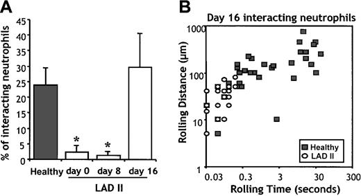 Fig. 6. Effect of L-fucose therapy on rolling in vivo of LADII neutrophils in cremasteric venules of NOD/SCID mice. / Neutrophils purified from a healthy donor or the LADII patient were fluorescently labeled and injected through the carotid artery into NOD/SCID mice prepared for intravital microscopy of the cremaster muscle. (A) The percentage of interacting LADII neutrophils obtained on days 0 and 8 of treatment was greatly reduced compared with that of neutrophils from a healthy donor. On day 16, however, a sharp increase in the number of interactions of the patient's neutrophils was detected. Error bars represent mean ± SEM. n = 4-6 venules per mouse. * P < .01 compared with healthy or day 16. (B) Altered kinetics in neutrophil rolling on day 16. Detailed analysis of the time and length of each rolling event from healthy (▪) or LADII (○) neutrophils from day 16 reveals transient interactions of LADII neutrophils compared to those from a healthy donor.