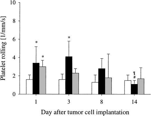 Fig. 2. Platelet-endothelial interaction during tumor angiogenesis. / Platelet-endothelial interaction is not an intense phenomenon during tumor angiogenesis. Platelet rolling was increased on day 1 in pre-existing microvessels of the host in response to both LLC-1 (▪) and BFS-1 () and also on day 3 in LLC-1 tumor microvessels, but was only slightly above the low baseline level quantified in postcapillary venules of controls (■). Median ± standard error of the median; n = 6 experimental animals per group. *P < .05 versus controls; #P < .05 versus day 1; ¶P < .05 versus day 3 (Kruskal-Wallis test).