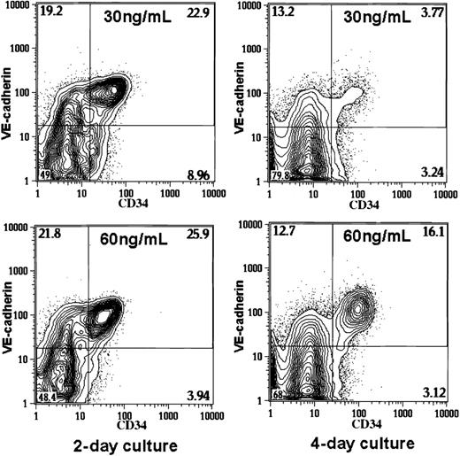 Fig. 5. Flow cytometric analysis of the in vitro differentiation of sorted VEGFR2+ cells into EC lineage under a chemically defined condition. / Sorted VEGFR2+ cells were cultured on type IV collagen–coated dishes under a chemically defined condition in the presence of 30 or 60 ng/mL VEGF. The expression of VE-cadherin and CD34 was analyzed after 2 or 4 days of culture. The numbers indicate the percentage of cells that appeared in each quadrant.