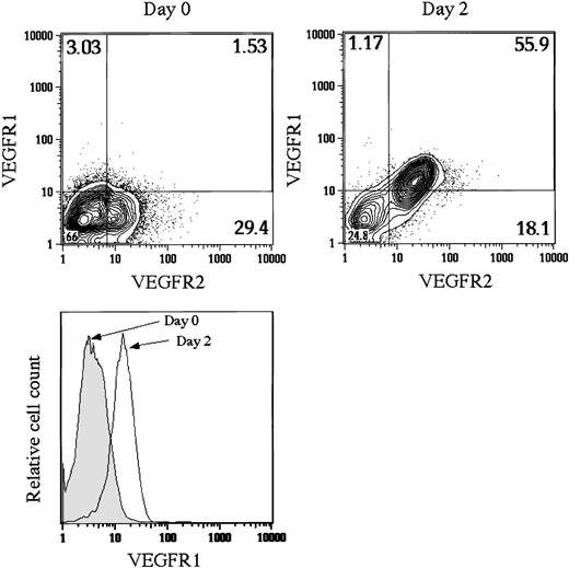 Fig. 6. Flow cytometric analysis of the in vitro differentiation of sorted VEGFR2+ cells into EC lineage under a chemically defined condition. / Sorted VEGFR2+ cells were cultured on type IV collagen–coated dishes under a chemically defined condition in the presence of 30 ng/mL VEGF. The expression of VEGFR1 and VEGFR2 was analyzed before cell sorting (day 0) and after 2 days of culture (day 2). The numbers indicate the percentage of cells that appeared in each quadrant. The change of VEGFR1 expression in VEGFR2+population was shown in a histogram (lower panel).