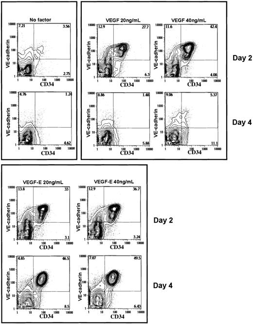 Fig. 7. Flow cytometric analysis of the in vitro differentiation of sorted VEGFR2+ cells into EC lineage under a chemically defined condition. / Sorted VEGFR2+ cells were cultured on type IV collagen–coated dishes under a chemically defined condition in the presence or absence of VEGF or VEGF-E. The expression of VE-cadherin and CD34 was analyzed after 2 or 4 days of culture. The numbers indicate the percentage of cells that appeared in each quadrant.