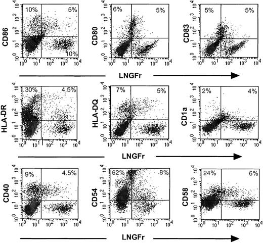 Fig. 1. Immunophenotype of IL-7LN-transduced leukemic DCs. / Leukemic cells from patient no. 5 were cultured in a cytokine containing serum-free medium (see “Patients, materials, and methods”) for 48 hours prior to 3 rounds of retroviral transduction with the IL-7LN vector. On day 7, cells were replated in a differentiation cytokine cocktail (see “Patients, materials, and methods”) for an additional 8 days. Double stainings with the LNGFr and CD86, CD80, CD83, HLA-DR, HLA-DQ, CD1a, CD40, CD54, and CD58 mAbs were performed at indicated time point. Viable cells were gated based on forward scatter and side scatter (FSC-SSC) features. Markers were set according to an isotype-matched control mAb. Fluorescence intensities are displayed in logarithmic scale. The numbers represent the percentages of positive cells.