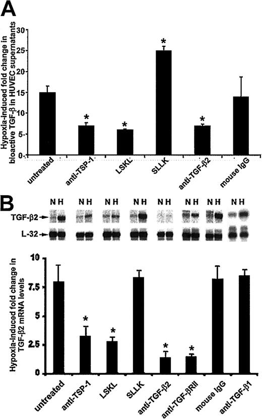 Fig. 1. Mechanisms responsible for hypoxia-induced activation of TGF-β2 gene expression in HUVECs. / (A) TSP-1–dependent increases in bioactive TGF-β2 levels in hypoxic HUVEC supernatants. Confluent HUVECs, cultured without serum, were exposed to 20% or 1% O2 in the presence or absence of 10 μg/mL anti–TSP-1 monoclonal antibody 133; 28 μM LSKL peptide, corresponding to TSP-1–binding amino acid residues 54-57 from TGF-β1 LAP; 28 μM scrambled peptide SLLK; 10 μg/mL anti–TGF-β2 antibody; or 10 μg/mL mouse IgG. After 18 hours, supernatants were collected, and bioactive TGF-β levels were quantitated by MLEC bioassay. Results from 3 independent experiments are expressed as fold change (±SD) in bioactive TGF-β levels in hypoxic HUVECs. Values were derived by dividing the levels obtained from hypoxic supernatants by each condition's normoxic counterpart (not shown). Asterisks indicate significant differences (P ≤ .05, Studentt, 2-tailed) from the untreated condition (leftmost bar). (B) TSP-1–dependent increases in TGF-β2 mRNA levels in hypoxic HUVECs. Confluent HUVECs, cultured without serum, were exposed to 20% or 1% O2 in the presence or absence of 10 μg/mL anti–TSP-1 monoclonal antibody 133, 28 μM LSKL (inhibitory) peptide, 28 μM SLLK (scrambled) peptide, 10 μg/mL anti–TGF-β2 antibody, 10 μg/mL anti–TGF-β type II receptor (anti–TGF-β RII) antibody, 10 μg/mL mouse IgG, or 10 μg/mL anti–TGF-β1 antibody for 18 hours and then subjected to total RNA extraction. For RNase protection assays, 10 μg total RNA was hybridized to an antisense RNA probe cocktail containing the templates for TGF-β2 and L-32 (ribosomal protein subunit) genes. Representative results from 1 of 3 independent experiments are shown in the top panel, in which protected fragments of TGF-β2 and L-32 mRNAs are indicated by arrows. The bottom panel presents quantification of results from the 3 experiments. TGF-β2 signal was normalized to that from L32. Each bar represents the increase in mRNA levels from hypoxic HUVECs compared with their own normoxic controls at 18 hours. Asterisks indicate significant differences (P ≤ .05, Student t, 2-tailed) from the untreated condition (leftmost bar). N indicates normoxic conditions; H, hypoxic conditions.