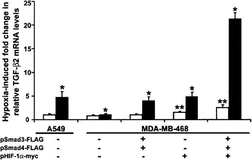 Fig. 5. Smad3 and HIF-1α are independently capable of inducing TGF-β2 mRNA in response to hypoxia. / Smad4-deficient MDA-MB-468 and Smad4-expressing A549 were transiently transfected with indicated Smad and HIF-1α expression vectors and RSV–β-gal by electroporation. Each transfection was divided into 2 plates and exposed to either 20% or 1% O2for 18 hours. TGF-β2 mRNA levels were determined by real-time RT-PCR analysis, using TGF-β2–specific TaqMan primers and probe. Amount of mRNA in each group is normalized to GAPDH. Results are presented as fold change in TGF-β2 mRNA in normoxic (■) or hypoxic (▪) conditions relative to the levels observed in cell line A549 under basal normoxic conditions. Bars represent mean ±SD from 3 independent experiments (*P < .05 for hypoxic and **P < .05 for normoxic results).