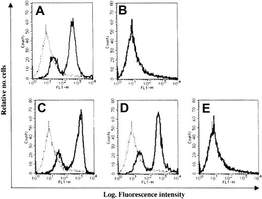 Fig. 3. Flow cytometric analysis of the binding of human T cells by scFvs. / Human T cells (2 × 106) were incubated with OKT3 mAb (A), 5.2 mAb (B), OKT3 scFv (C), 5.2-OKT3 biscFv (D), or 5.2 scFv (E), followed by anti-FLAG M2 secondary antibody. Cells were stained with FITC-conjugated goat anti–mouse IgG and analyzed by flow cytometry (solid line). Dotted line represents control cells incubated with the second and third step reagents alone. Data were obtained from 1 of 3 similar experiments.