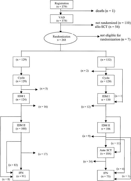 Fig. 1. Outline of the study and completion of allocated treatment. / Cyclo indicates cyclophosphamide.