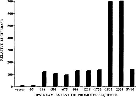 Fig. 5. Expression of reporter luciferase directed by portions of the bcl-x promoter in transient transfection assays. / Portions of the bcl-x promoter bearing the complete sequence from −1 (nucleotide preceding A of the ATG codon) to the indicated nucleotide on the horizontal axis were placed in the luciferase reporter vector pGL3 Basic Vector (Promega). The constructs were transfected into HCD57 cells, and the firefly luciferase was measured after 24 hours. A control expression plasmid, pRL-TK, was cotransfected, as described in “Materials and methods.” The ratio of firefly luciferase to Renilla luciferase was determined in the transfected cells. That ratio for the pGL3 luciferase vector without any inserted promoter sequence was adopted as the baseline expression value. Each transfection assay was performed 3 to 5 times, and representative values are shown. For all test plasmids, the range of values obtained in repetitive experiments was less than 15% of the values shown.